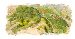 Marqués de Murrieta Ygay Estate covers 741 acres in Rioja Alta