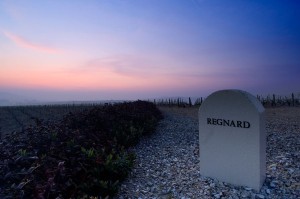 Régnard vineyards