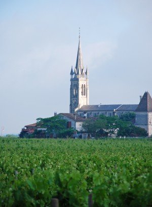 Château Certan de May vineyards