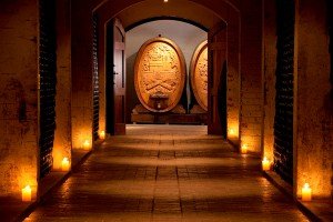 Fleur du Cap, barrels in the cellar