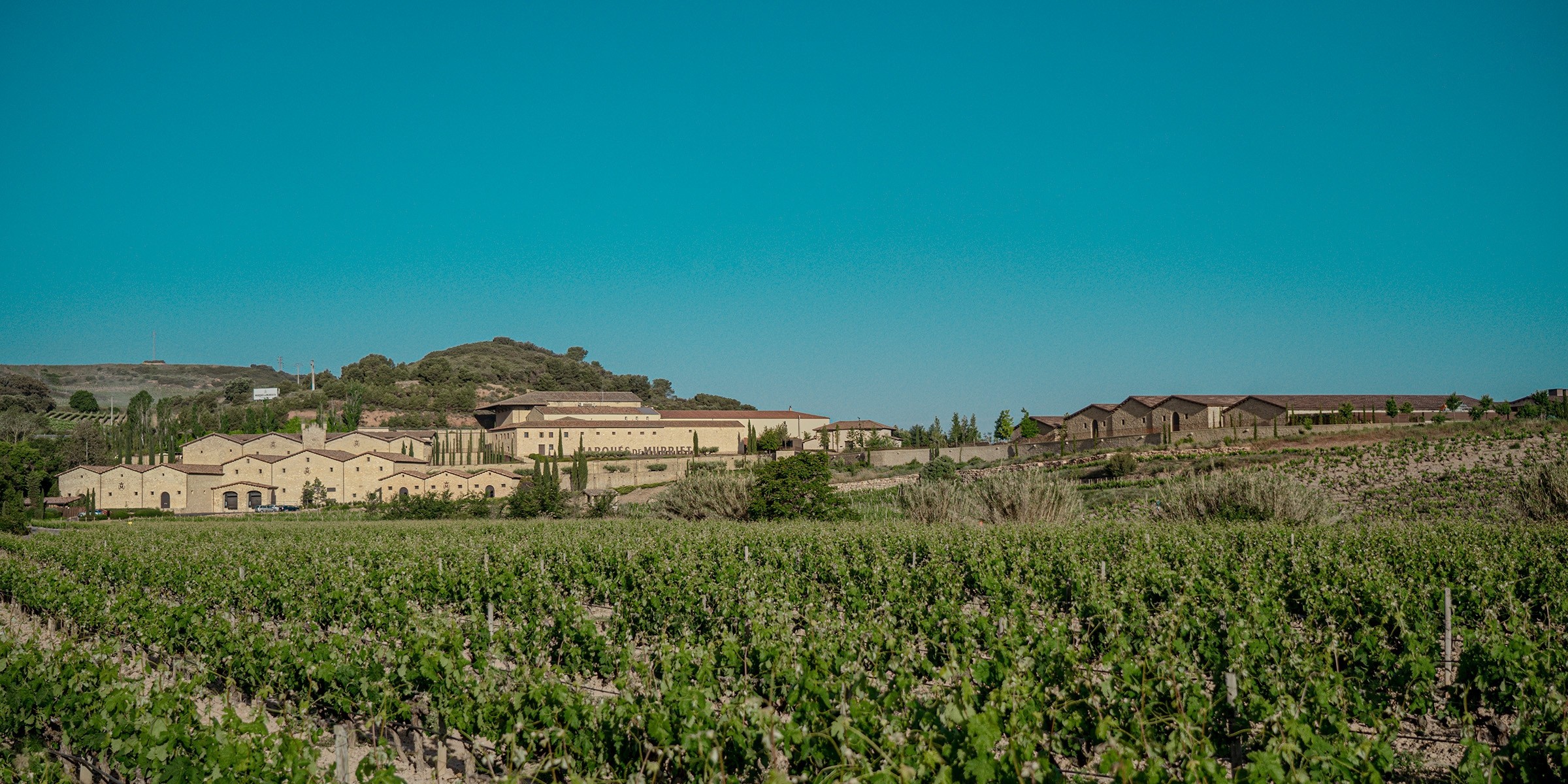 Marqués de Murrieta