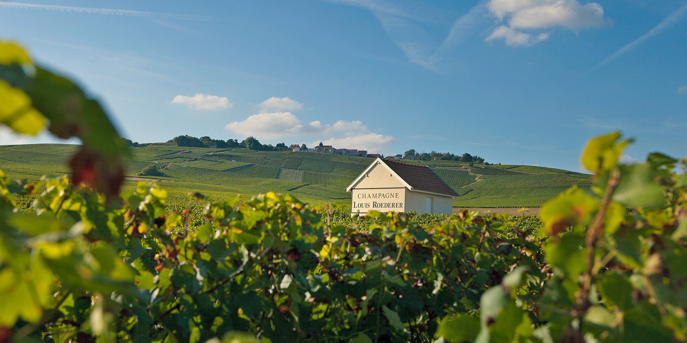 Champagne Louis Roederer