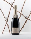 Photography for Champagne Louis Roederer Collection 244