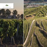 Read Short and Sweet: The New Vintage Paradigm