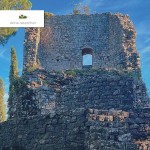 Read Brunello 2019: A Vintage for the Ages