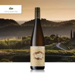 Read The 10 Most Popular Pinot Grigio Brands in the World